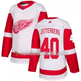 Miesten NHL Detroit Red Wings Pelipaita Henrik Zetterberg 40 Adidas 2017-2018 Valkoinen Authentic